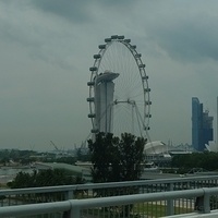 2011.03.24-021.JPG