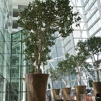 2011.03.24-097.JPG