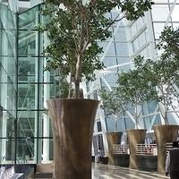 2011.03.24-098.JPG