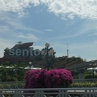 2011.03.24-129.JPG