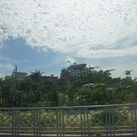 2011.03.24-131.JPG