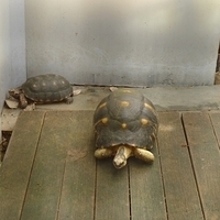 2011.03.24-148.JPG