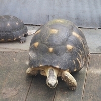 2011.03.24-149.JPG