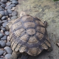 2011.03.24-150.JPG