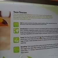 2011.03.24-151.JPG