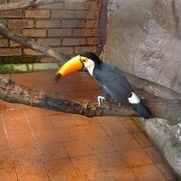 2011.03.24-153.JPG