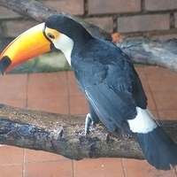 2011.03.24-154.JPG