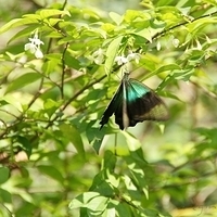 2011.03.24-155.JPG