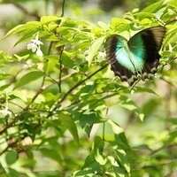 2011.03.24-156.JPG