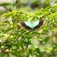 2011.03.24-157.JPG