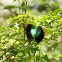 2011.03.24-158.JPG