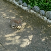 2011.03.24-160.JPG