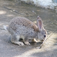 2011.03.24-161.JPG