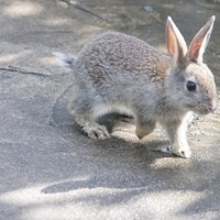 2011.03.24-162.JPG