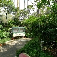 2011.03.24-163.JPG