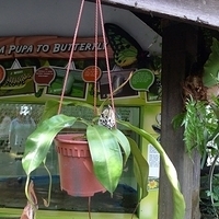 2011.03.24-164.JPG