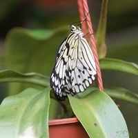 2011.03.24-166.JPG