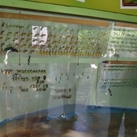 2011.03.24-167.JPG