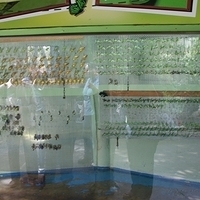 2011.03.24-168.JPG