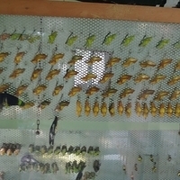 2011.03.24-170.JPG