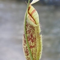 2011.03.24-173.JPG