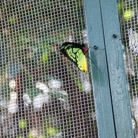 2011.03.24-174.JPG