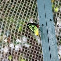 2011.03.24-175.JPG