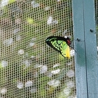 2011.03.24-176.JPG