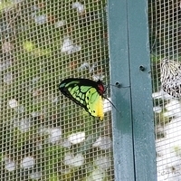2011.03.24-177.JPG