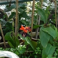 2011.03.24-178.JPG