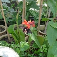 2011.03.24-179.JPG