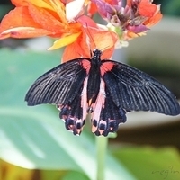 2011.03.24-180.JPG