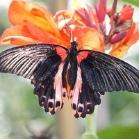 2011.03.24-181.JPG