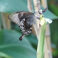 2011.03.24-182.JPG