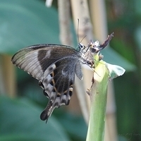 2011.03.24-183.JPG