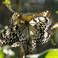 2011.03.24-185.JPG