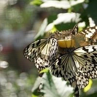 2011.03.24-186.JPG