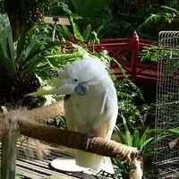 2011.03.24-189.JPG