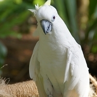 2011.03.24-192.JPG