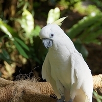 2011.03.24-193.JPG
