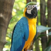 2011.03.24-194.JPG