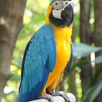 2011.03.24-195.JPG