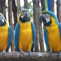 2011.03.24-196.JPG