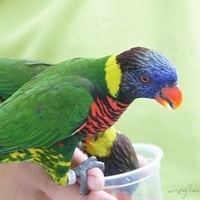 2011.03.24-197.JPG
