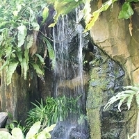 2011.03.24-198.JPG