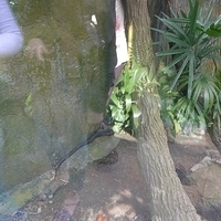 2011.03.24-199.JPG