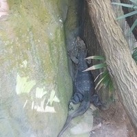 2011.03.24-200.JPG