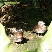 2011.03.24-201.JPG