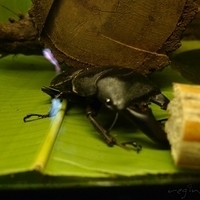 2011.03.24-203.JPG