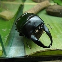 2011.03.24-204.JPG